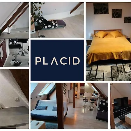 Apartamento L' Alcove Confortable - Lumineux *