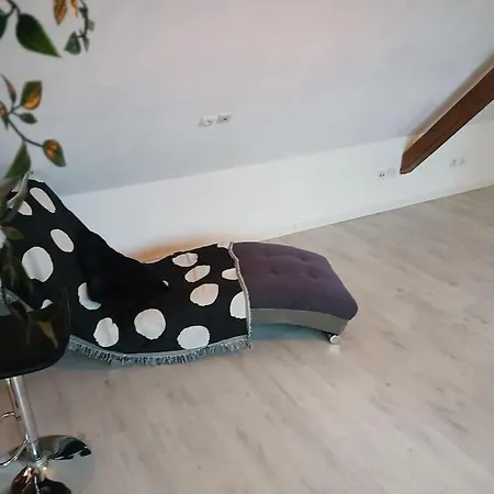 Apartamento L' Alcove Confortable - Lumineux