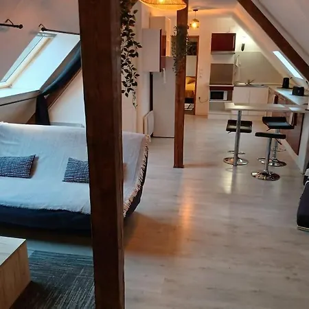 Apartamento L' Alcove Confortable - Lumineux